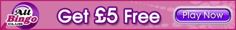 All Bingo Club