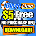 Bingo Liner